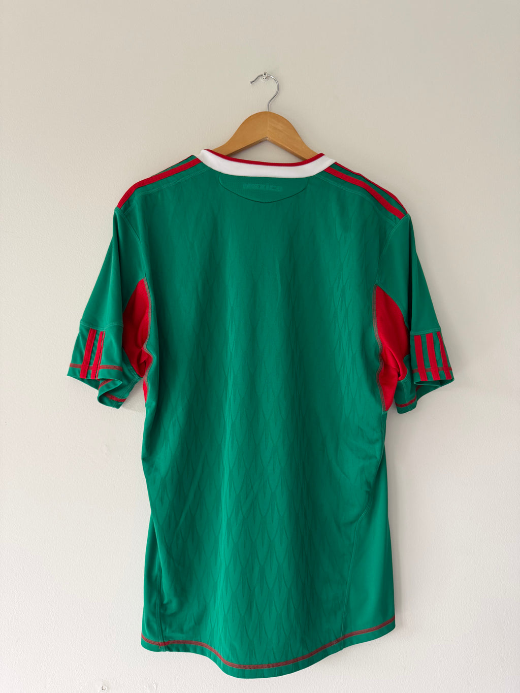 Mexico Home 2010