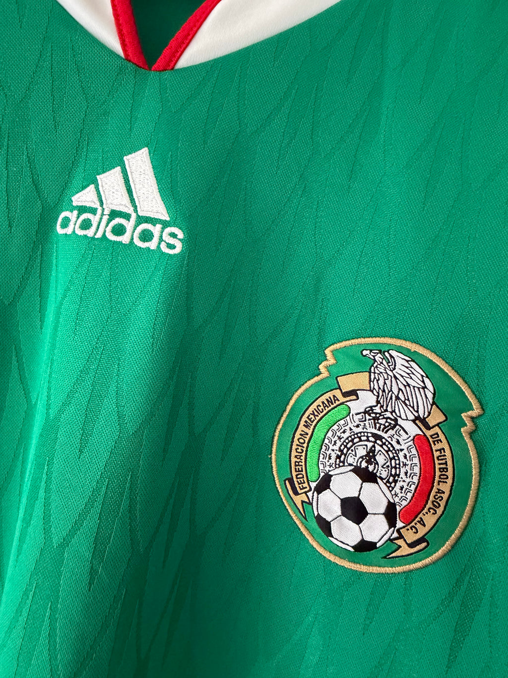 Mexico Home 2010