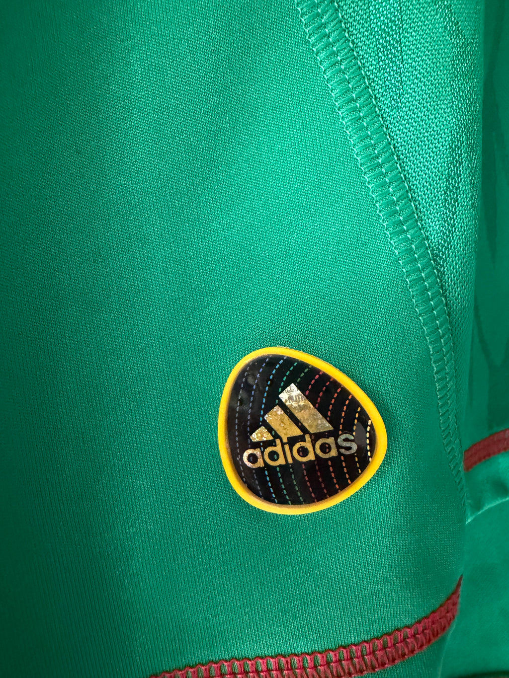 Mexico Home 2010