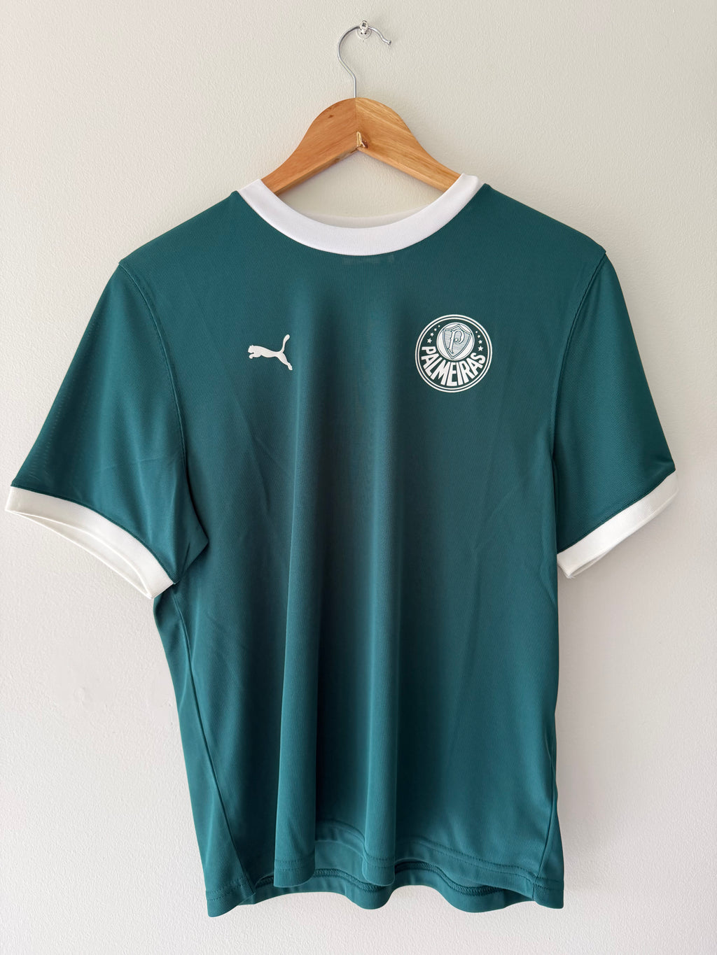 Palmeiras 2025 Training