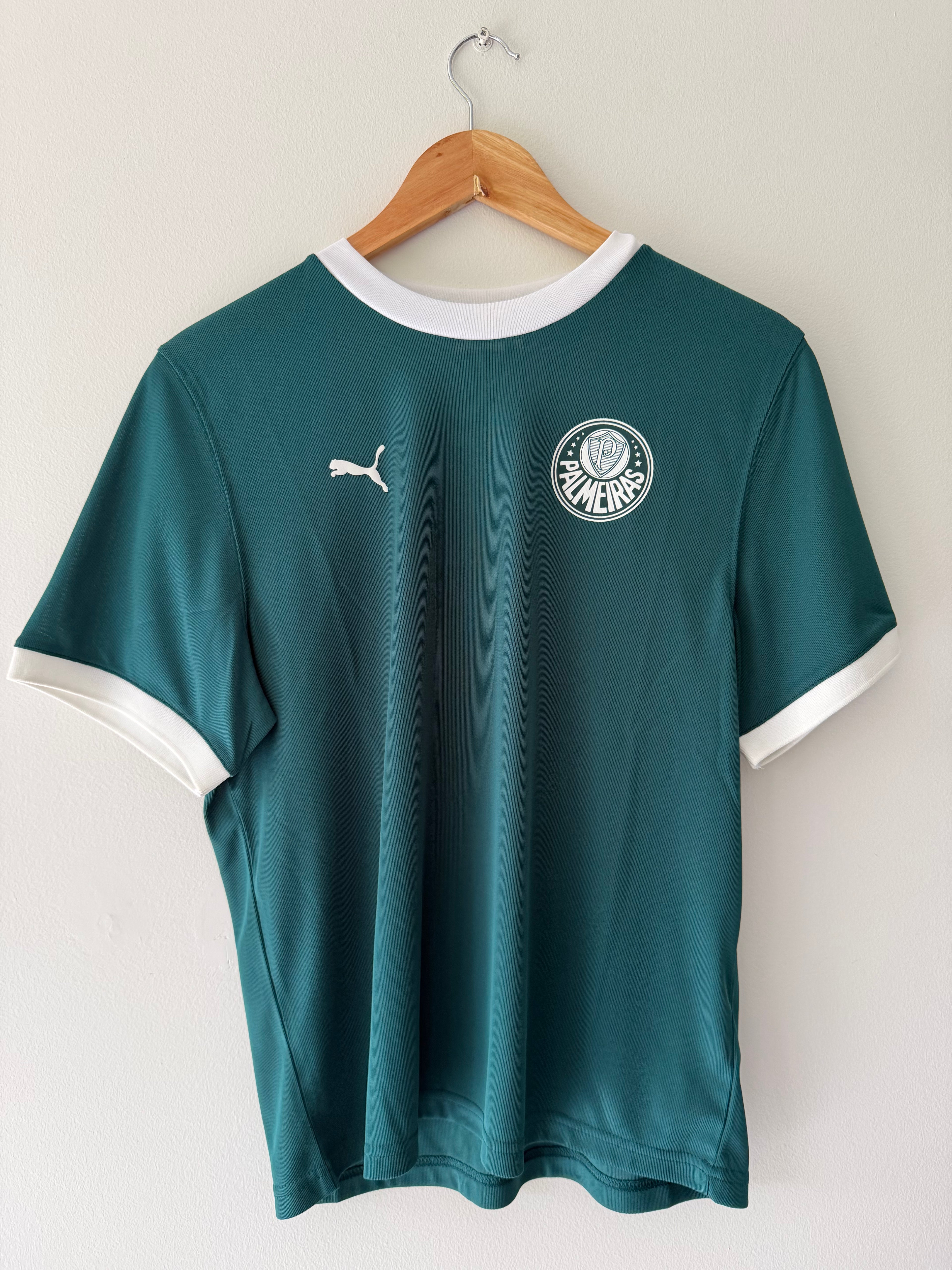 Palmeiras 2025 Training