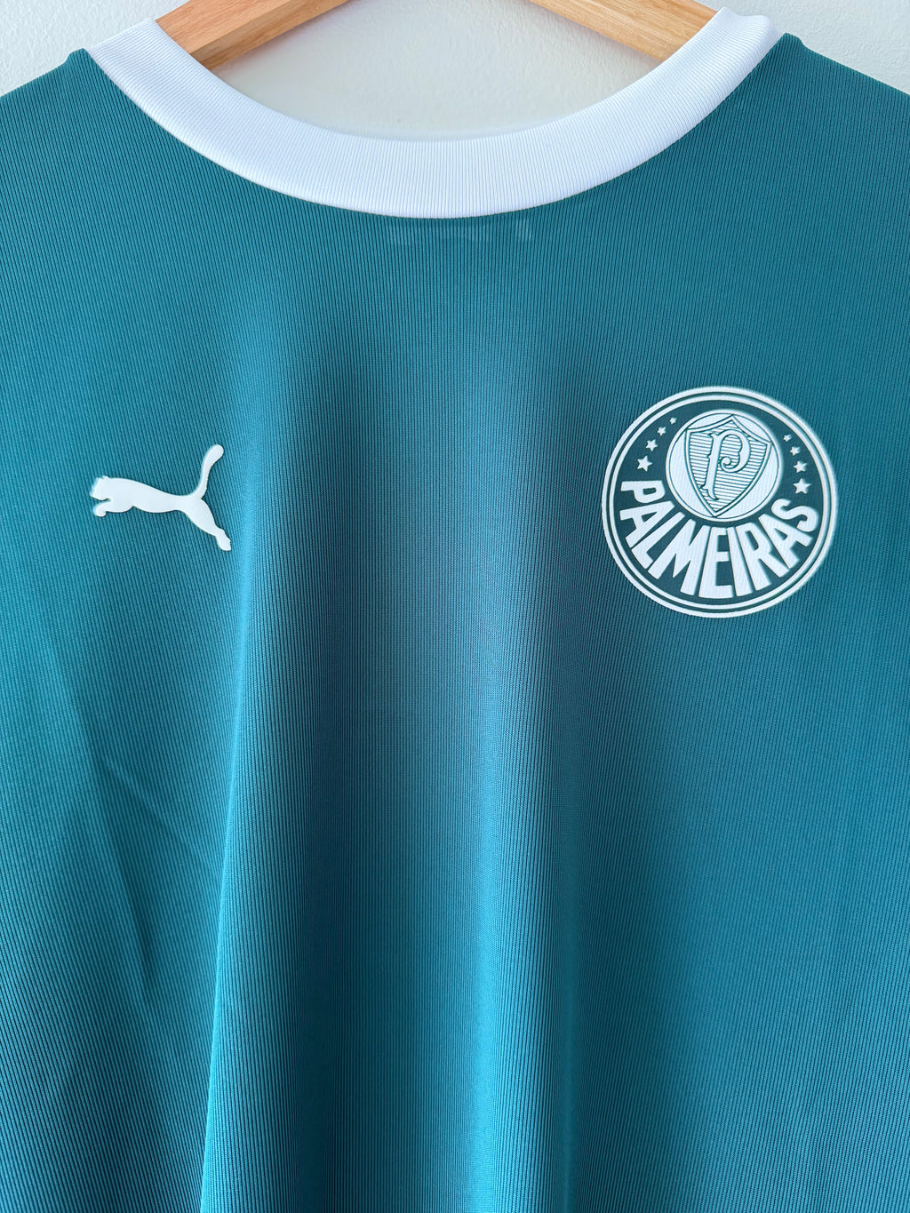 Palmeiras 2025 Training