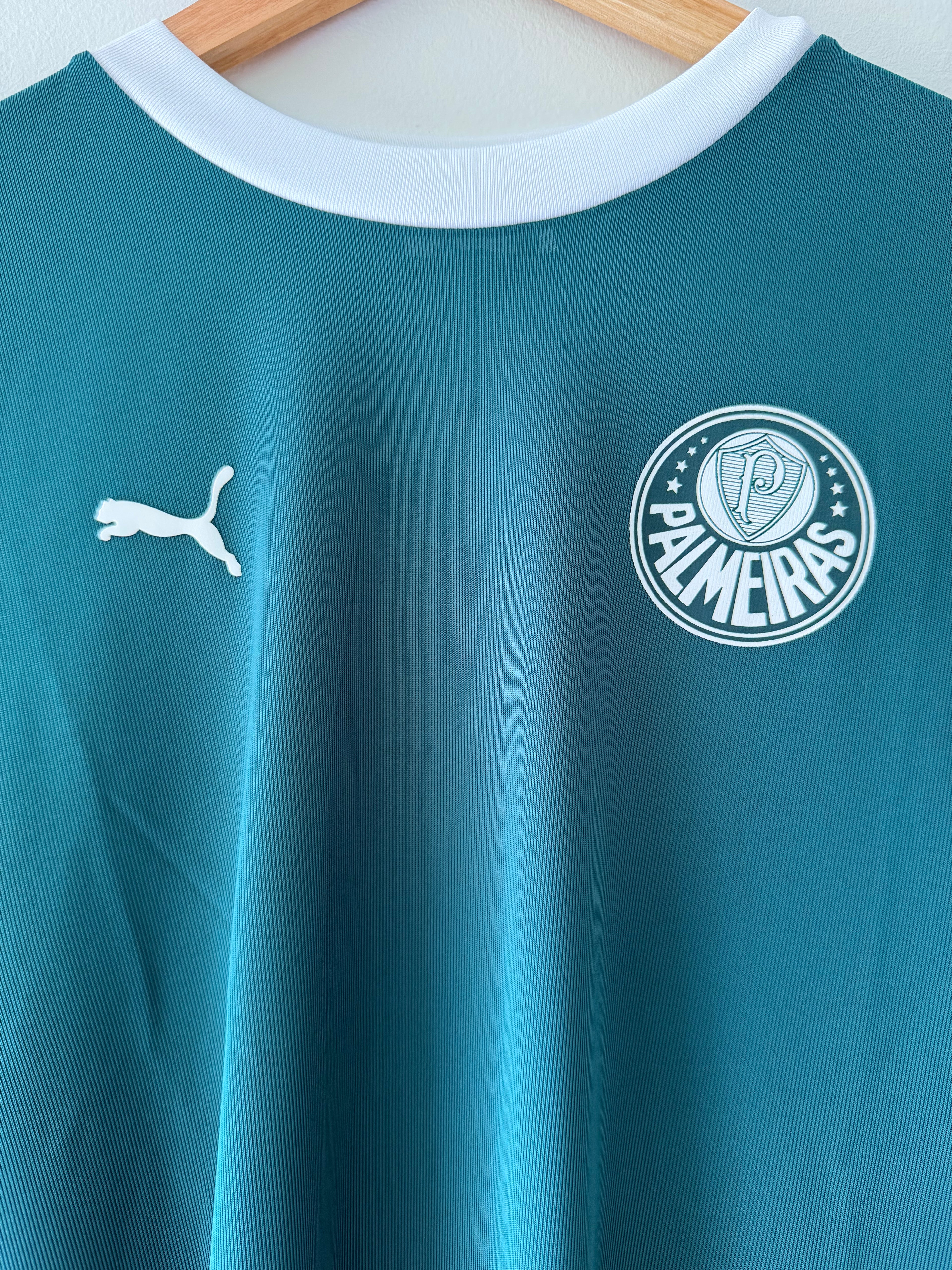 Palmeiras 2025 Training